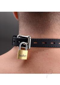 61S2qlMWh6L._AC_SX679_