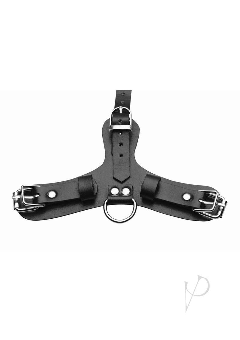 61S2qlMWh6L._AC_SX679_