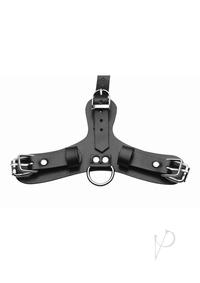 61S2qlMWh6L._AC_SX679_