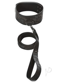 61S2qlMWh6L._AC_SX679_