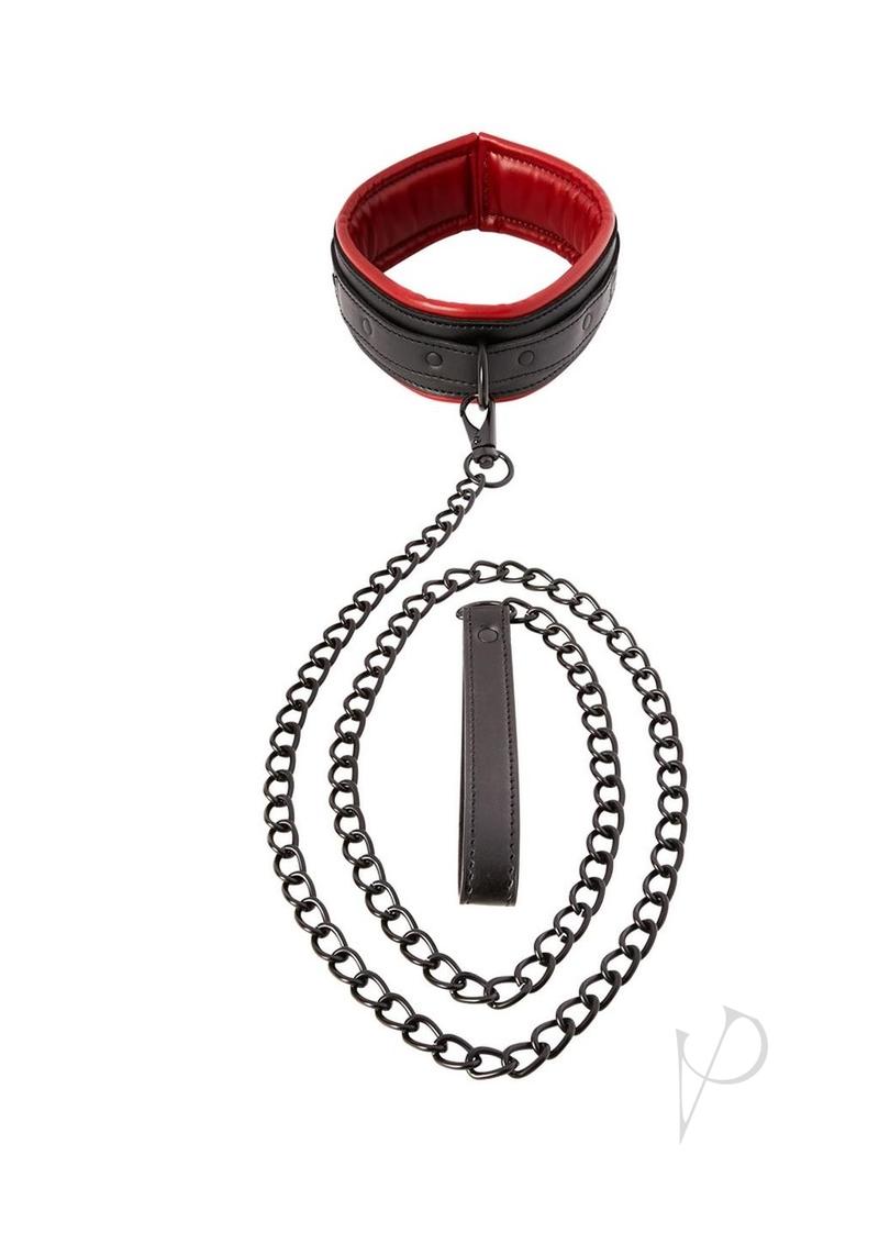 61S2qlMWh6L._AC_SX679_