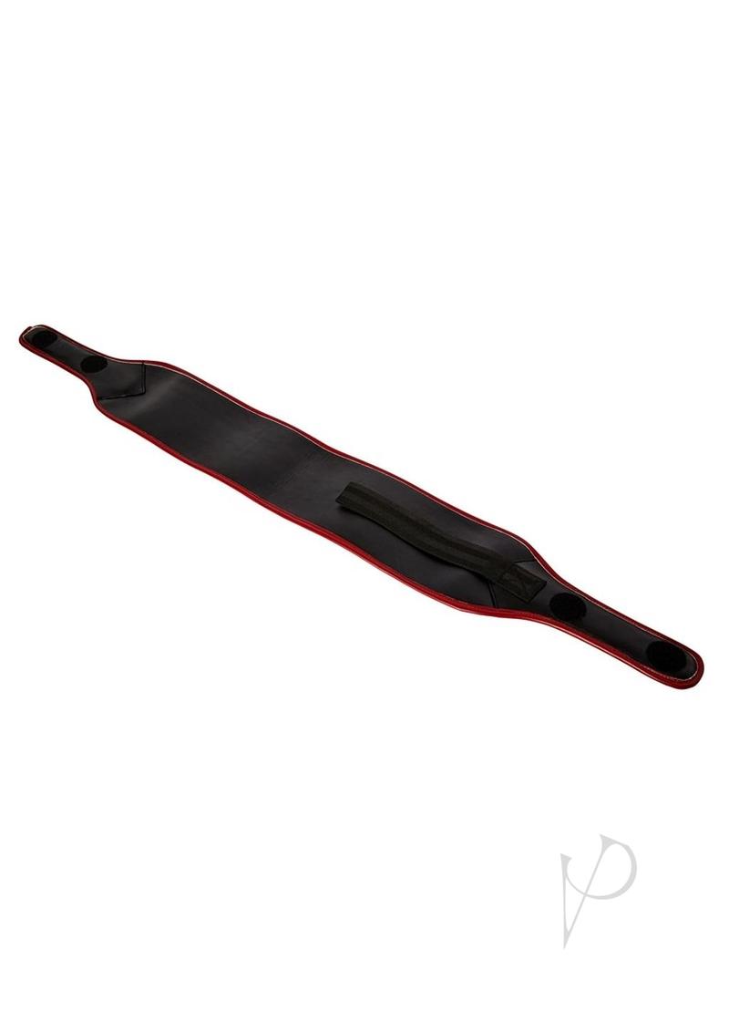 61S2qlMWh6L._AC_SX679_