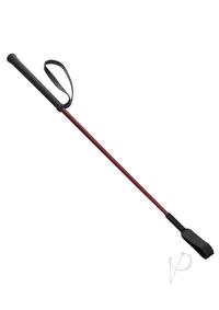 61S2qlMWh6L._AC_SX679_