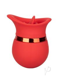 61S2qlMWh6L._AC_SX679_