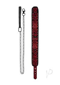 61S2qlMWh6L._AC_SX679_