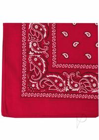 61S2qlMWh6L._AC_SX679_