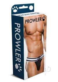 61S2qlMWh6L._AC_SX679_