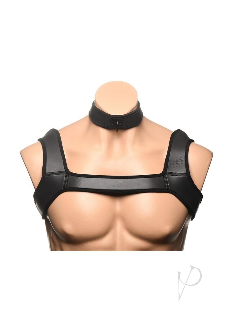 61S2qlMWh6L._AC_SX679_