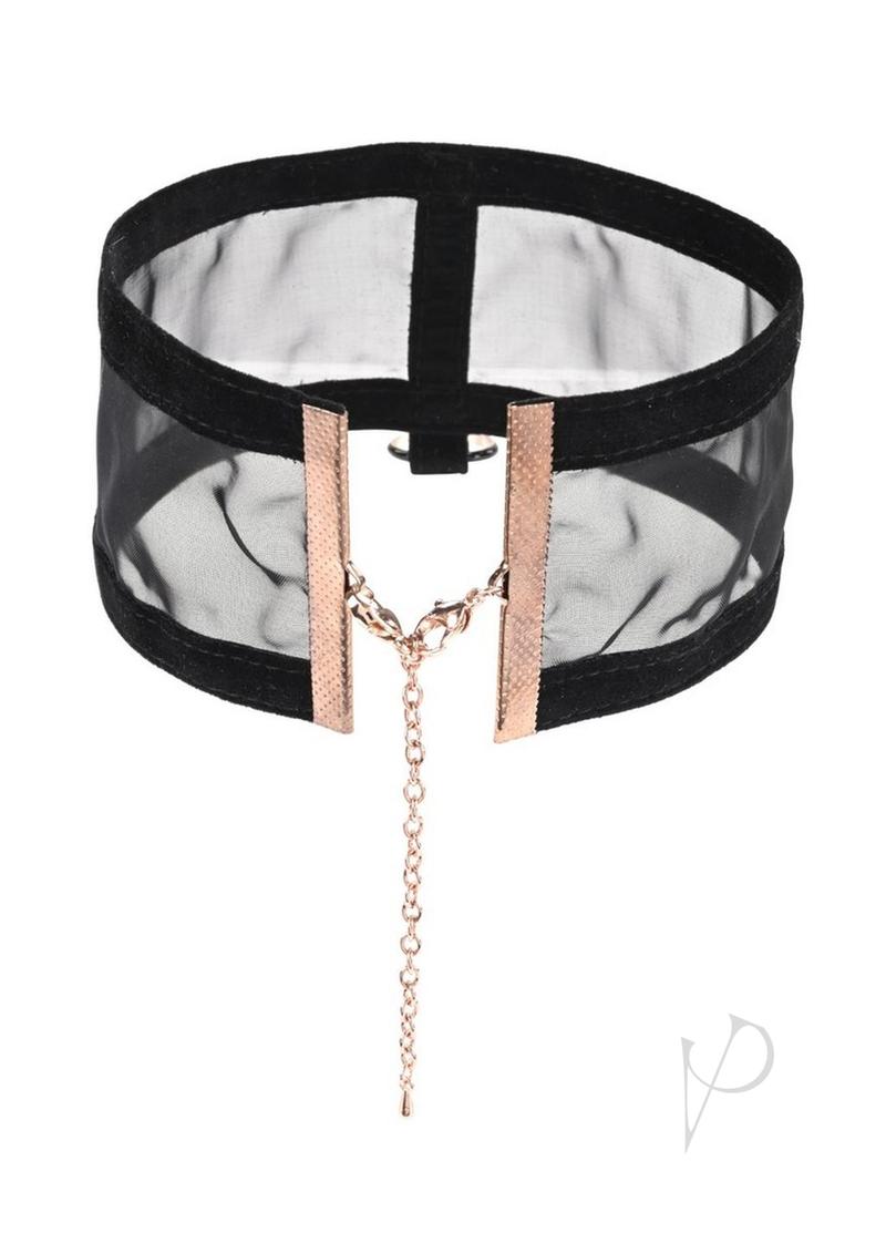 61S2qlMWh6L._AC_SX679_