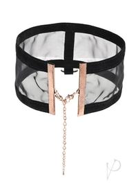 61S2qlMWh6L._AC_SX679_