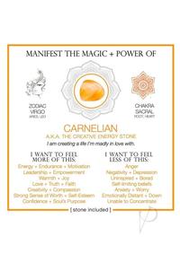 61S2qlMWh6L._AC_SX679_